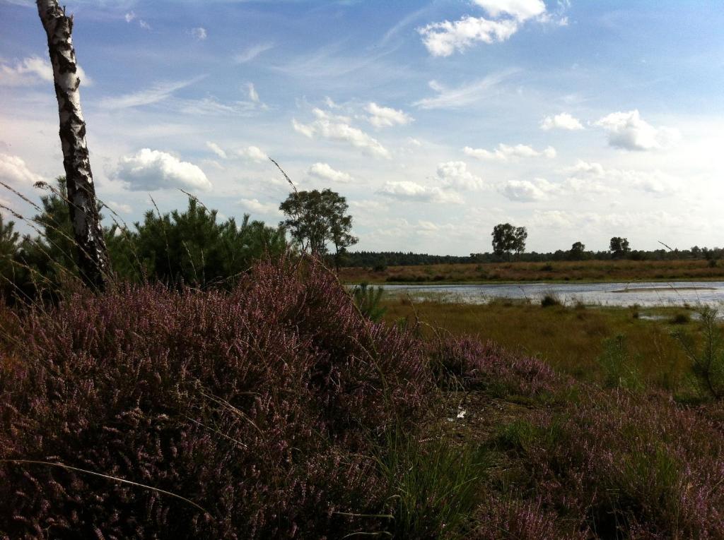 B&B Leendershoeve In Heusden Asten Exterior photo